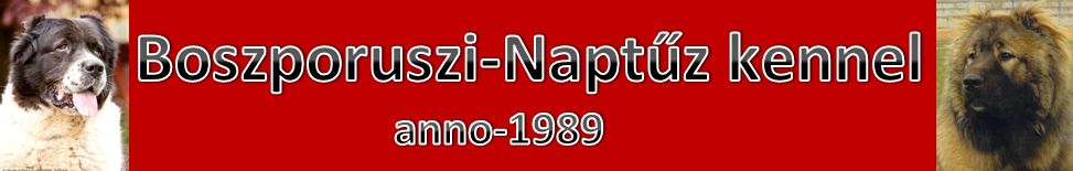 boszporuszinaptuz